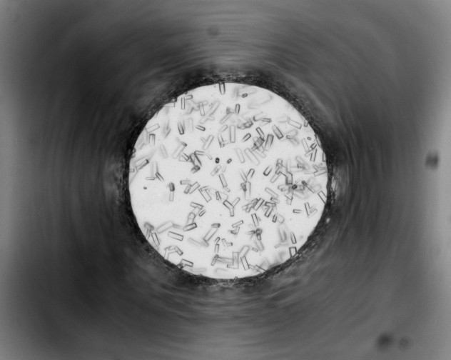X0000103430867200810241056