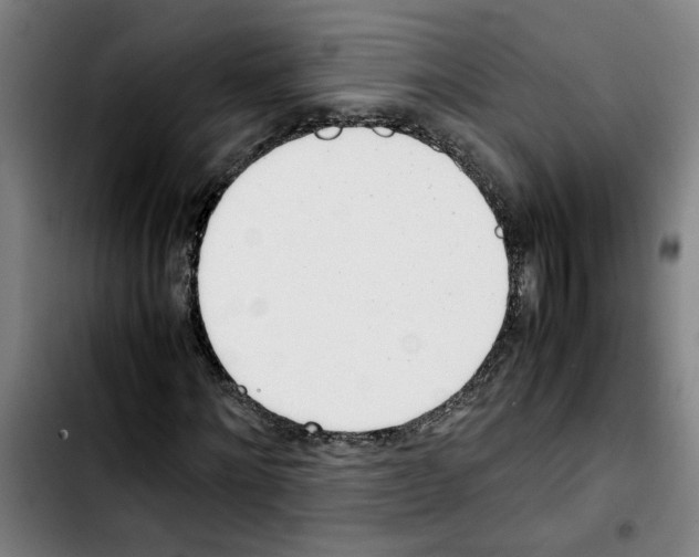 X0000103430868200810241056