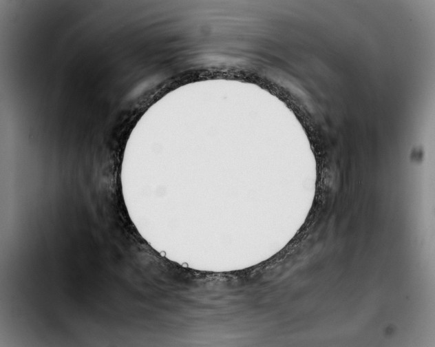 X0000103430869200810241056