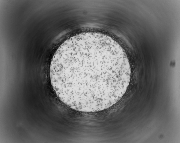 X0000103430870200810241056