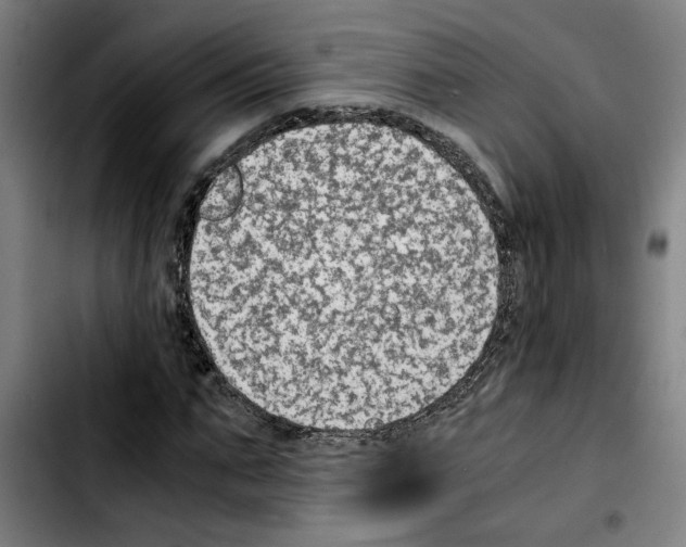 X0000103430871200810241056