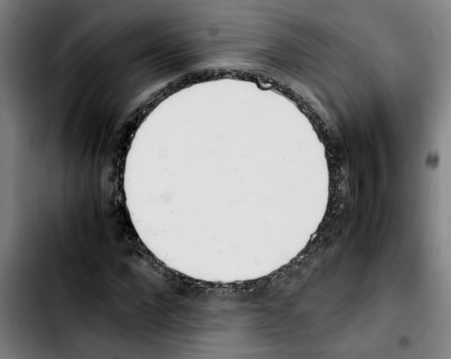 X0000103430872200810241056