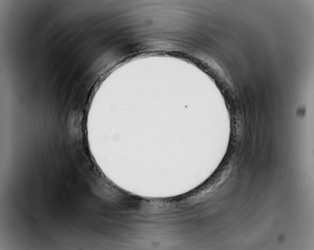 X0000103430873200810241056