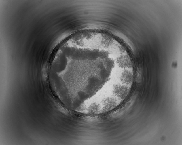 X0000103430874200810241056