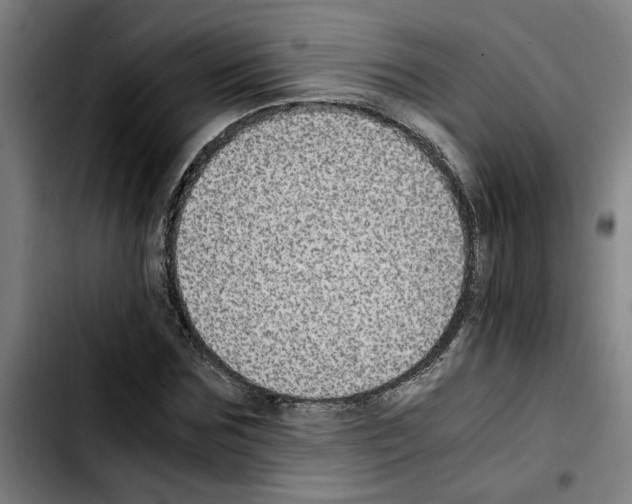 X0000103430875200810241056