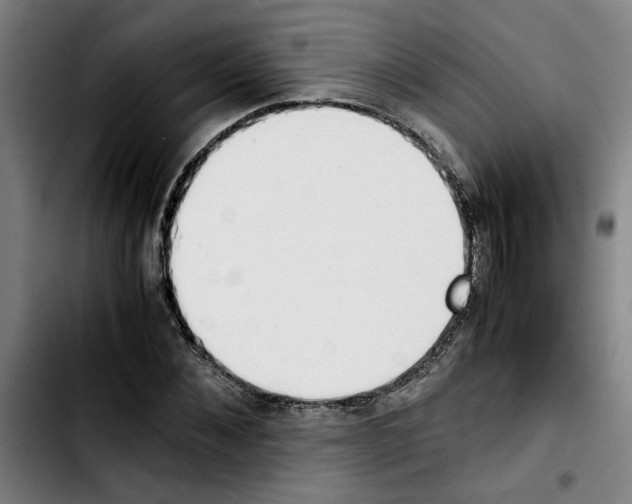 X0000103430876200810241056