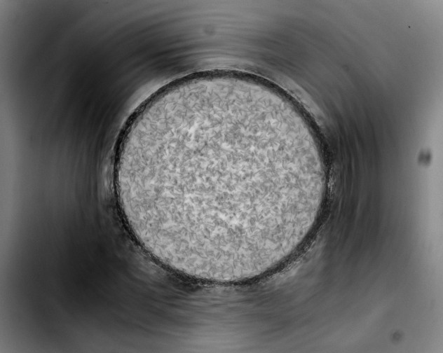 X0000103430877200810241056