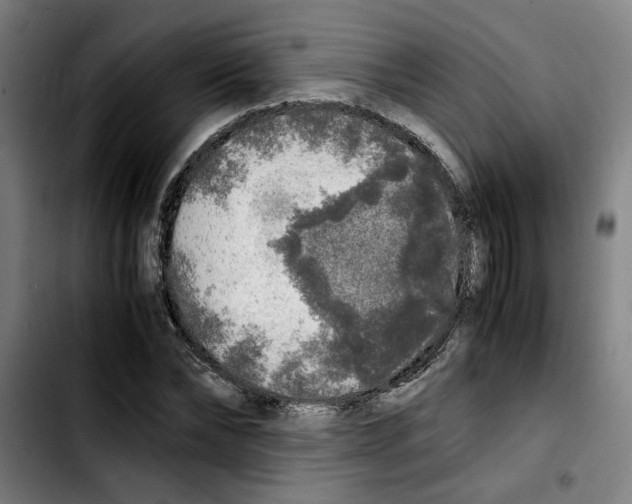 X0000103430878200810241056