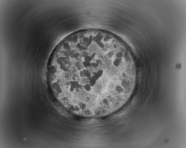 X0000103430879200810241056