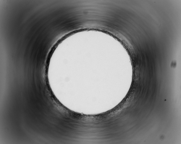 X0000103430880200810241056