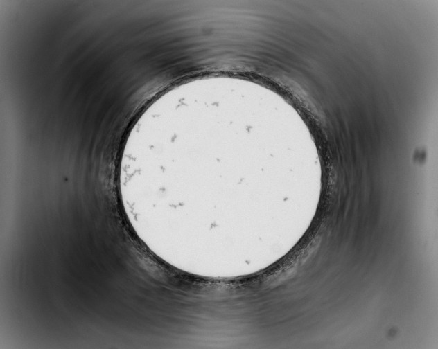 X0000103430881200810241056