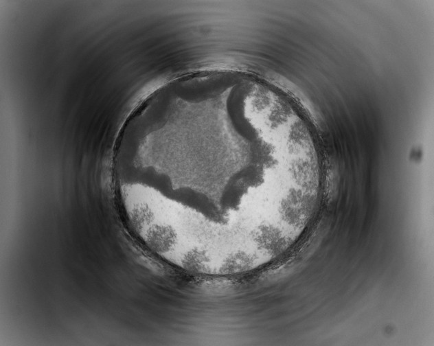 X0000103430882200810241056