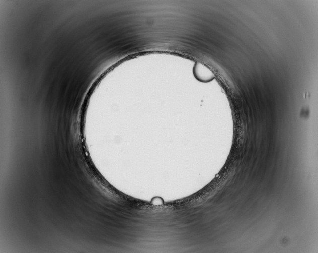 X0000103430884200810241056