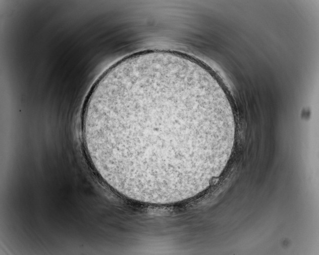 X0000103430887200810241056