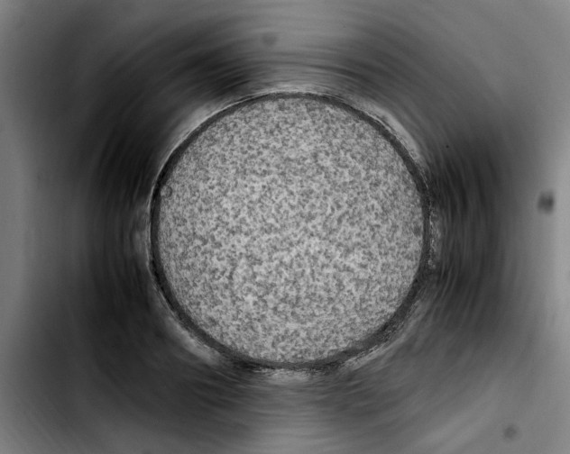 X0000103430890200810241056