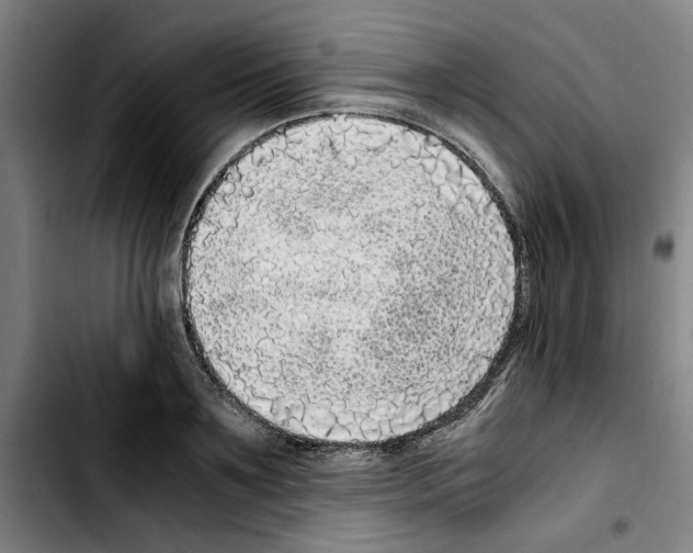 X0000103430891200810241056