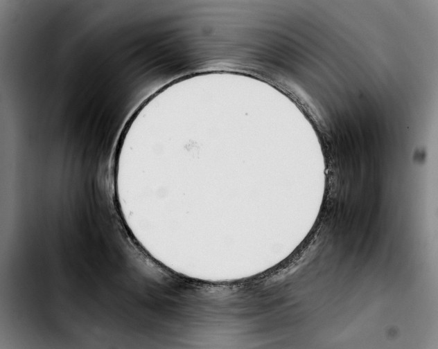 X0000103430892200810241056