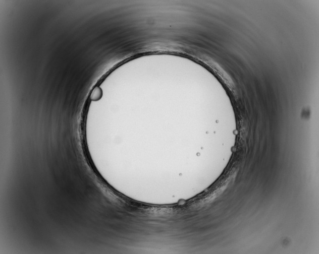 X0000103430893200810241056
