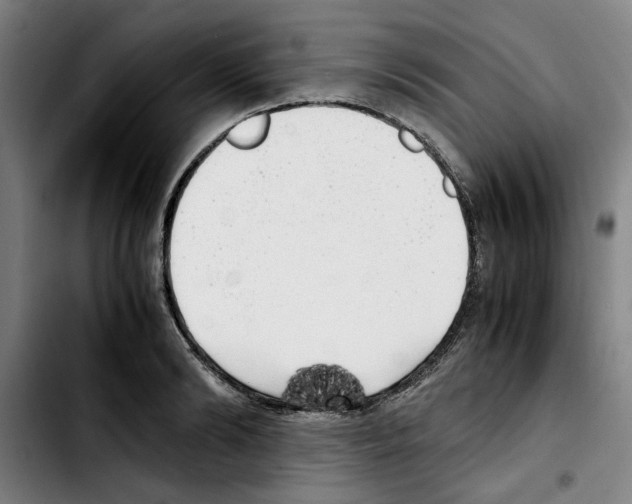 X0000103430894200810241056