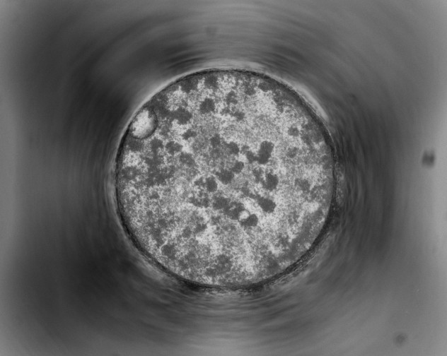 X0000103430895200810241056
