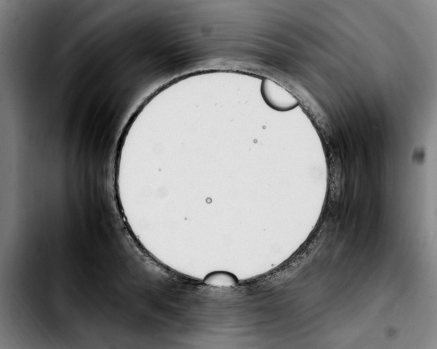 X0000103430896200810241056