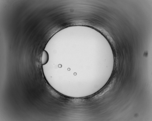 X0000103430897200810241056