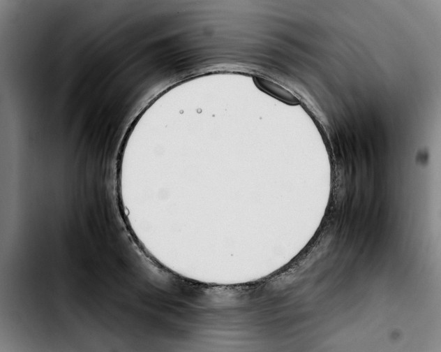 X0000103430898200810241055