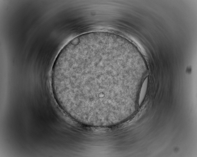 X0000103430899200810241055