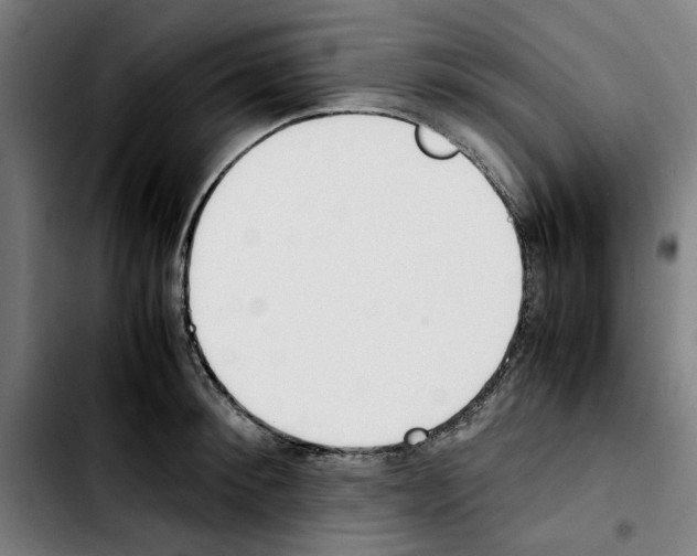 X0000103430900200810241055