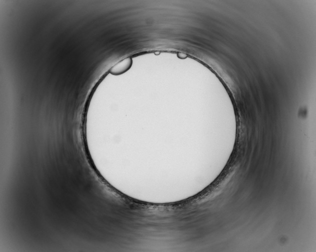 X0000103430901200810241055