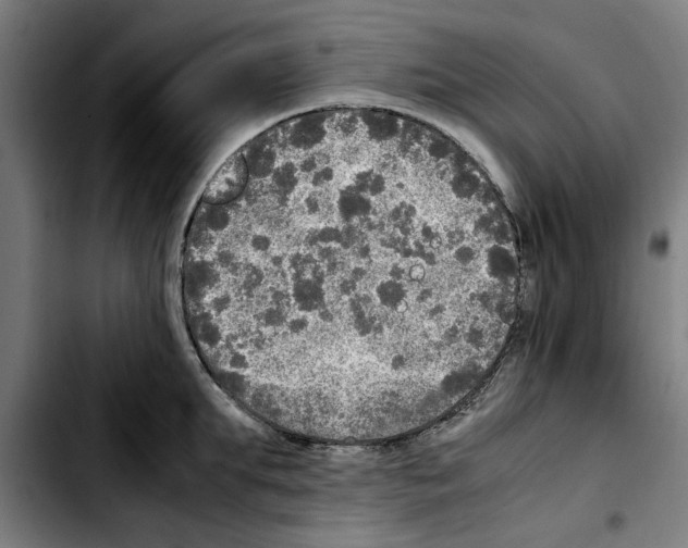 X0000103430903200810241055