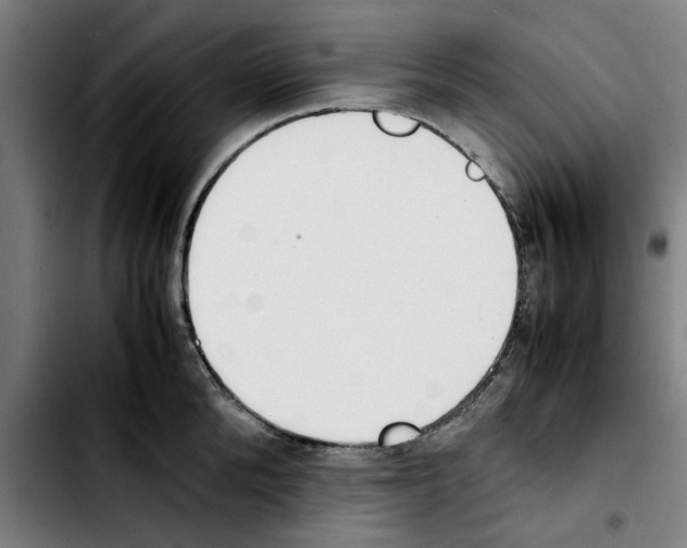 X0000103430904200810241055