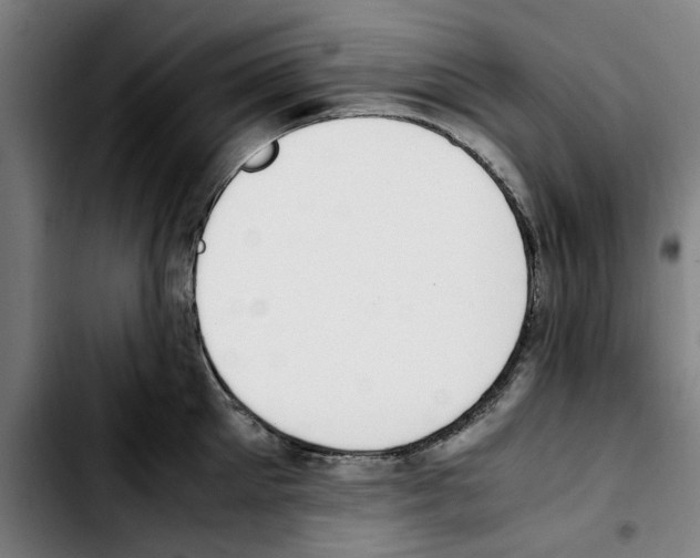 X0000103430905200810241055