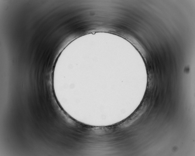 X0000103430906200810241055