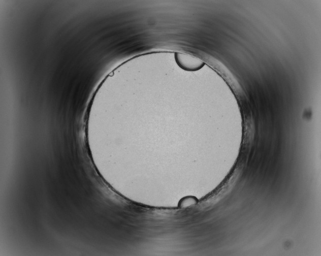 X0000103430908200810241055