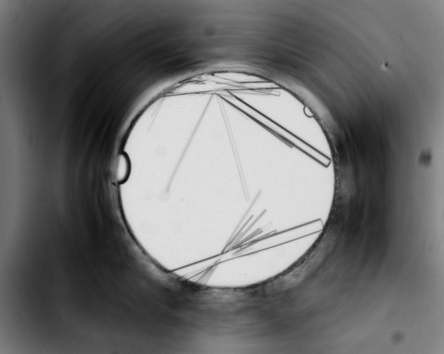 X0000103430910200810241055