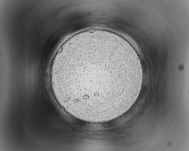 X0000103430911200810241055