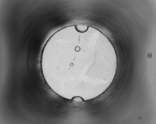 X0000103430912200810241055