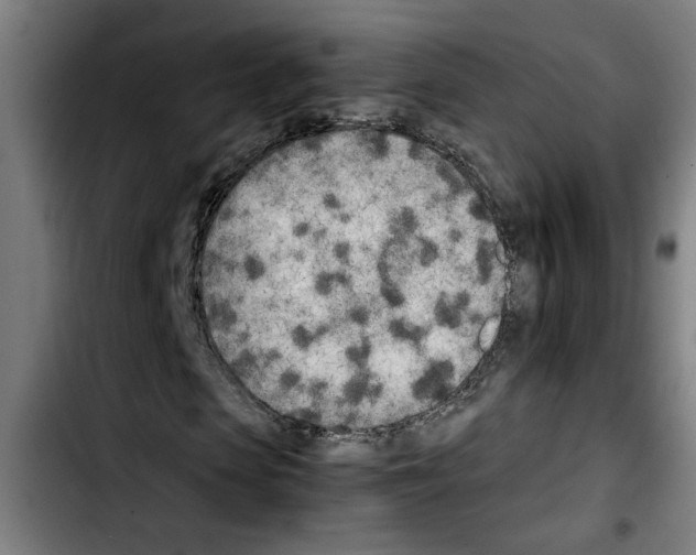 X0000103430913200810241055