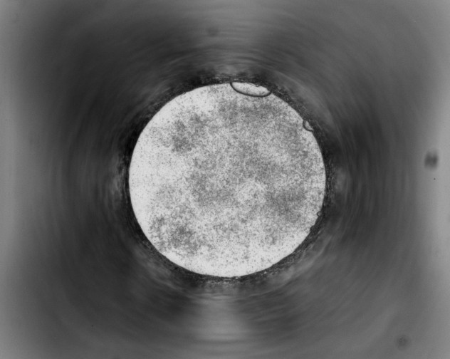 X0000103430914200810241055