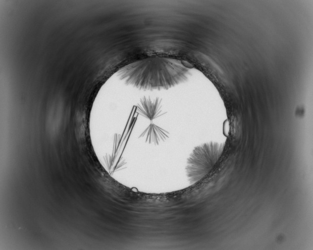 X0000103430915200810241055