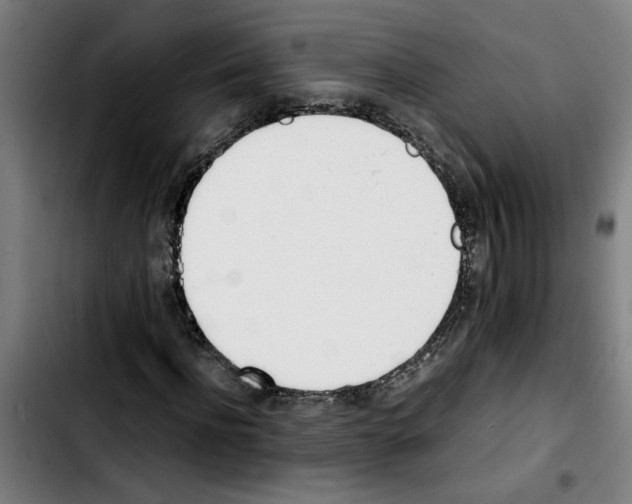 X0000103430916200810241055