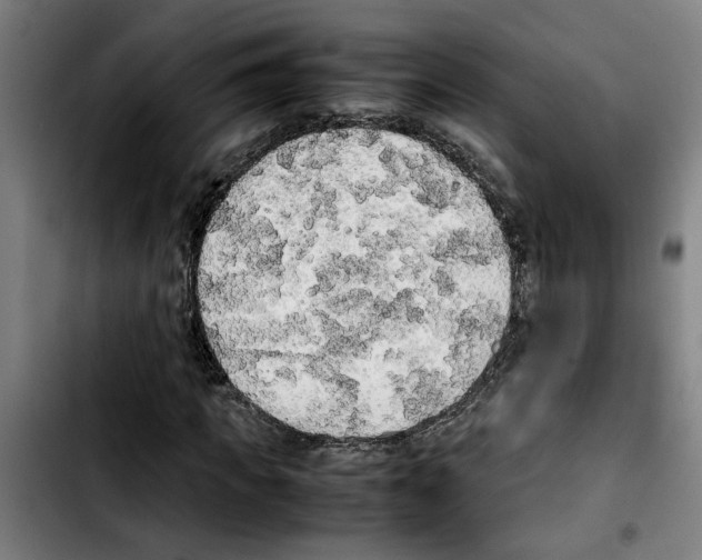 X0000103430917200810241055