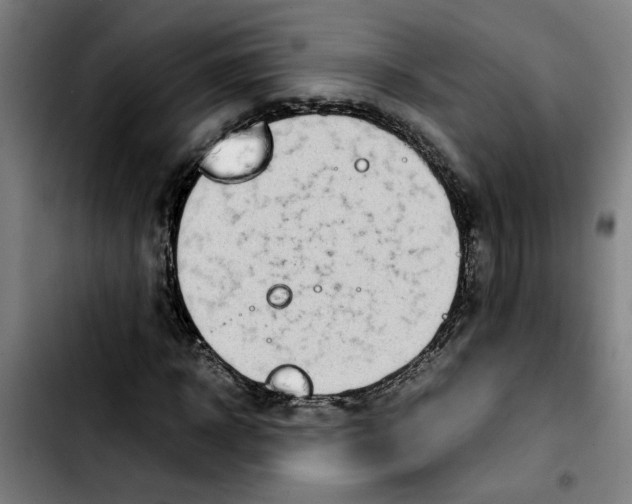 X0000103430918200810241055
