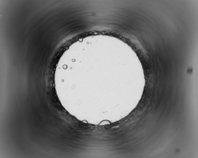 X0000103430920200810241055