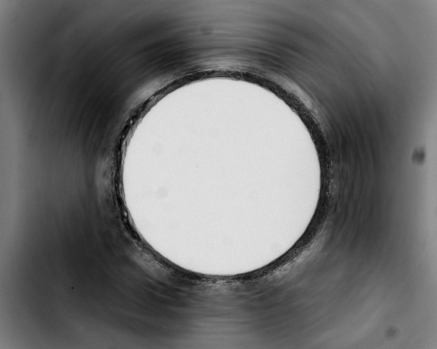 X0000103430922200810241055