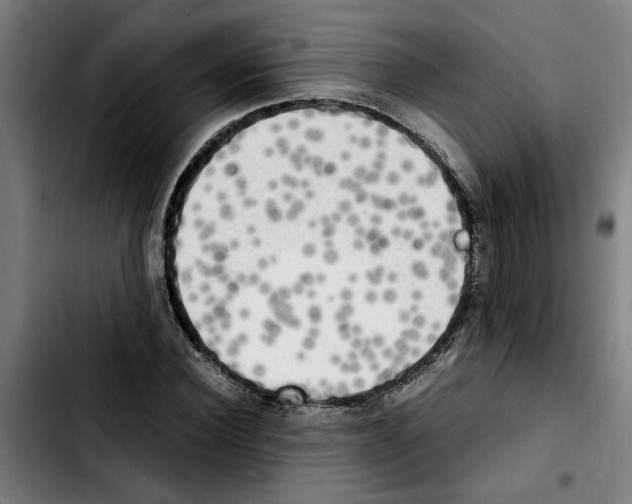 X0000103430924200810241055