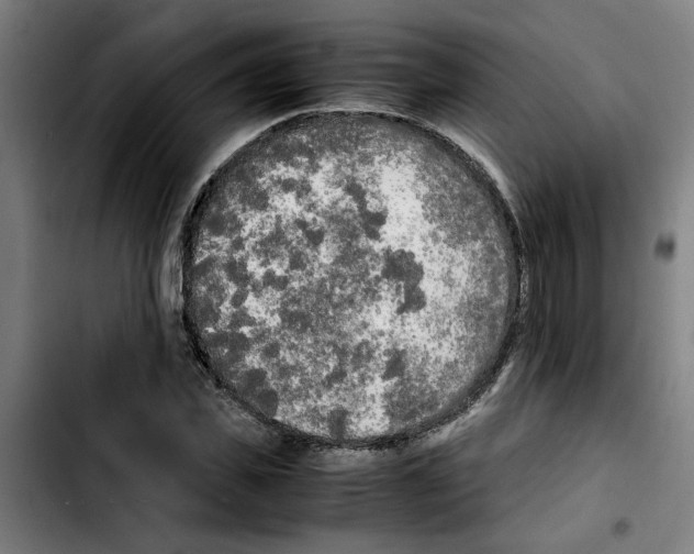 X0000103430925200810241055