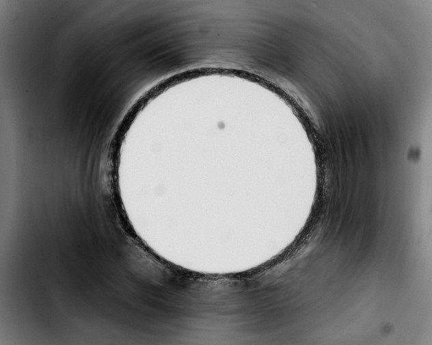 X0000103430926200810241055