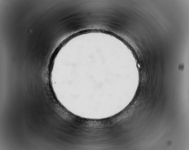 X0000103430927200810241055